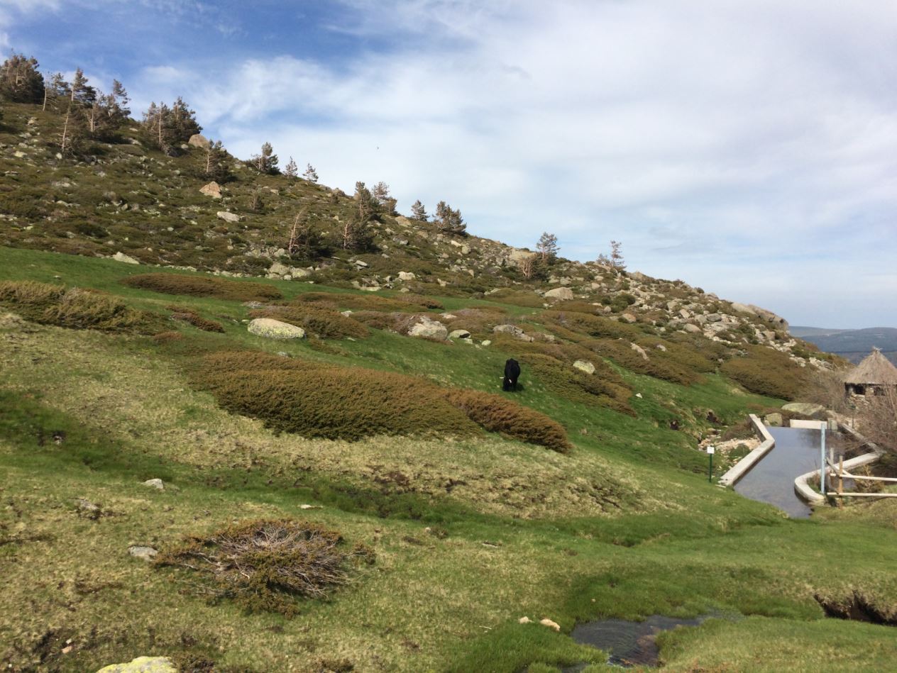Camino hacia el Circo de Peñalara