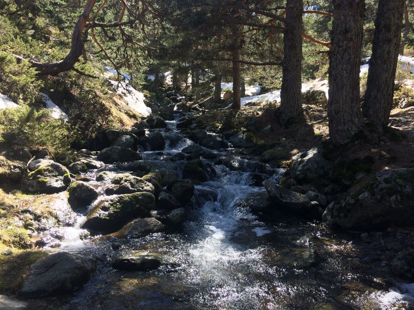 Río en la Sierra de Guadarrama