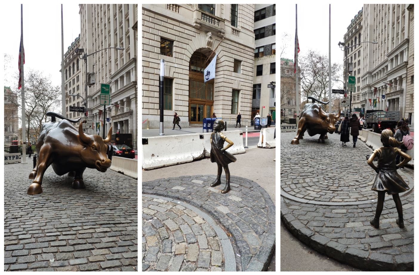 Toro Wall Street